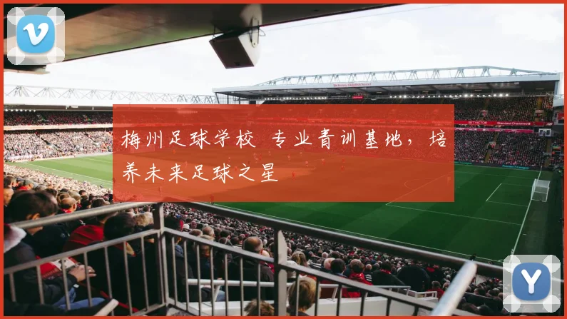 梅州足球学校 专业青训基地，培养未来足球之星